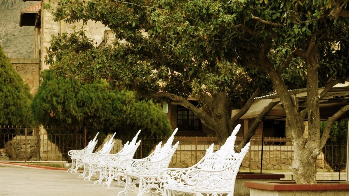 Magnolias y bancas blancas de hierro ornamentado en la plaza Jesús García, en Nacozari de García, Sonora, bajo la sombra de frondosos árboles, con edificios de piedra al fondo.